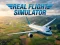 खेल Real Flight Simulator ऑनलाइन