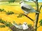 खेल Birds Of Prey Puzzle ऑनलाइन
