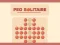 खेल Peg Solitaire ऑनलाइन
