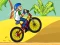 खेल BMX Boy Online ऑनलाइन