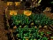 खेल Pixel Farm ऑनलाइन