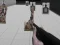 खेल Shooting Range Simulator ऑनलाइन