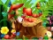 खेल Hidden Objects Insects ऑनलाइन
