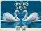 खेल Swans Slide ऑनलाइन