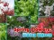 खेल Spring Flowers: Hidden Objects ऑनलाइन