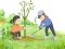 खेल Arbor Day Puzzle ऑनलाइन