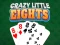 खेल Crazy Little Eights ऑनलाइन