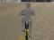 खेल Bicycle Simulator ऑनलाइन