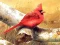 खेल Art Birds Puzzle ऑनलाइन