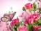 खेल Butterflies Puzzle ऑनलाइन