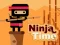 खेल Ninja Time ऑनलाइन