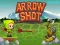 खेल Arrow Shoot ऑनलाइन