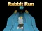 खेल Rabbit Run 3D ऑनलाइन