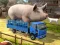 खेल Driver Master Simulator ऑनलाइन
