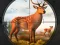 खेल Wild Animal Hunting ऑनलाइन
