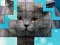 खेल PicPu Cat ऑनलाइन