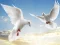 खेल Flying Birds ऑनलाइन