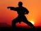 खेल Karate Sunset Warriors ऑनलाइन