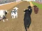 खेल Angry Bull Racing ऑनलाइन