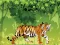 खेल Angry Tiger Coloring ऑनलाइन