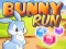 खेल Bunny Run ऑनलाइन
