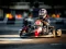 खेल Kart Karting ऑनलाइन