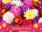 खेल 2019 Mother's Day Puzzle ऑनलाइन