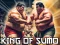 खेल King Of Sumo the ultimate brawl ऑनलाइन