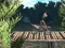खेल Bike Trial Xtreme Forest ऑनलाइन