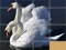 खेल Animals Slide Puzzle ऑनलाइन