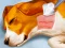 खेल Dog Hospital ऑनलाइन