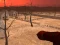 खेल Wasteland Shooters ऑनलाइन