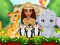 खेल Moana Cute Zoo ऑनलाइन