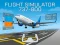 खेल Flight Simulator 737-800 ऑनलाइन