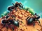 खेल Ant Colony ऑनलाइन