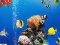 खेल Sea Underwater Difference ऑनलाइन