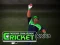 खेल Cricket Fielder Challenge ऑनलाइन