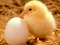 खेल Lovable Little Creatures Puzzle ऑनलाइन