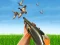 खेल Bird Hunting ऑनलाइन