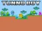 खेल Tunno Boy ऑनलाइन