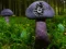 खेल Mushroom Forest Adventure ऑनलाइन