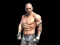 खेल Fight Arena Online ऑनलाइन