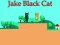 खेल Jake Black Cat ऑनलाइन