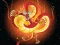 खेल Chinese Dragons Coloring ऑनलाइन