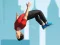खेल Flip Master ऑनलाइन