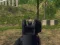 खेल Army Shooter ऑनलाइन