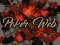 खेल Poker Web ऑनलाइन