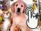 खेल Pets Clicker ऑनलाइन
