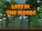 खेल Lost in the Woods ऑनलाइन