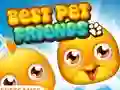खेल Best Pet Friends ऑनलाइन